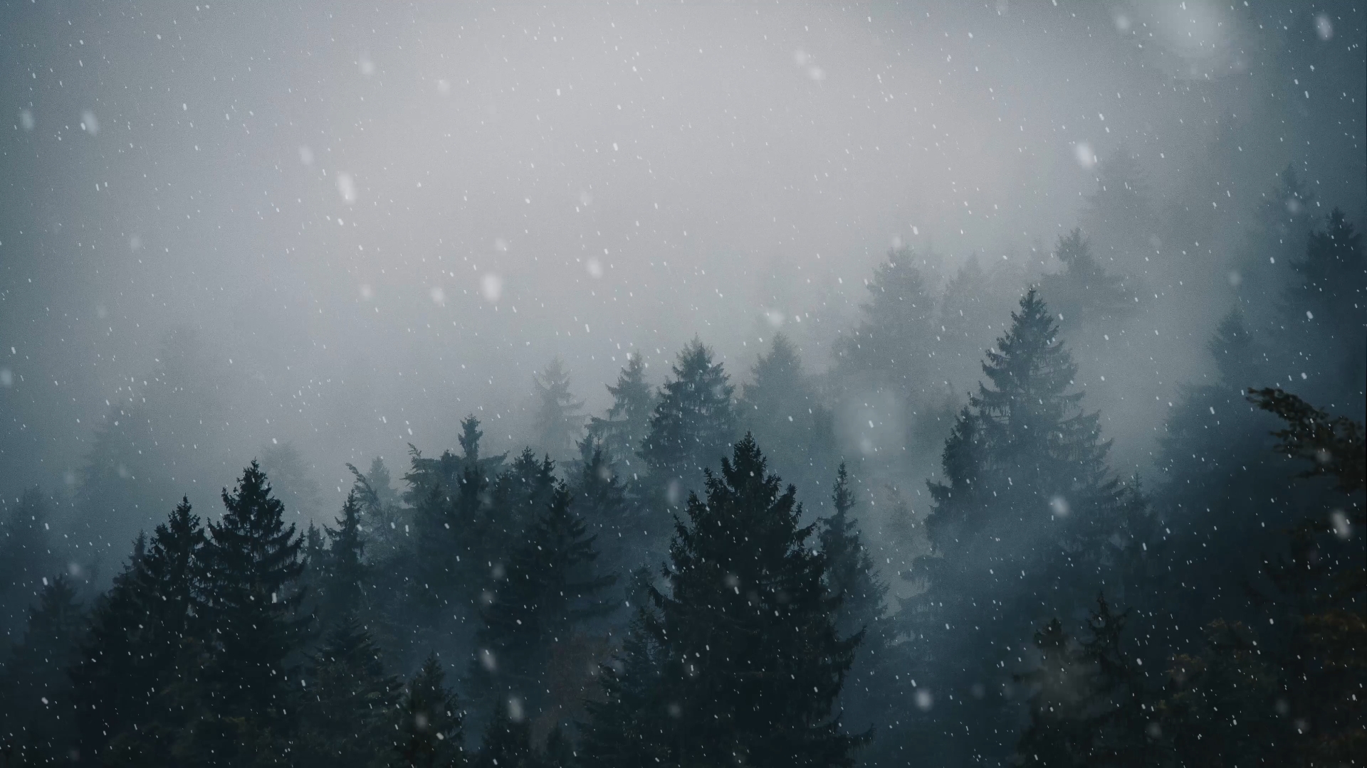 【手机】迷你世界MA版-星辉阁